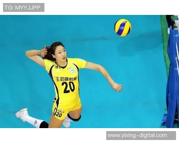 杭州排球队实力不容小觑排球力量排行榜揭晓他们荣登第七名