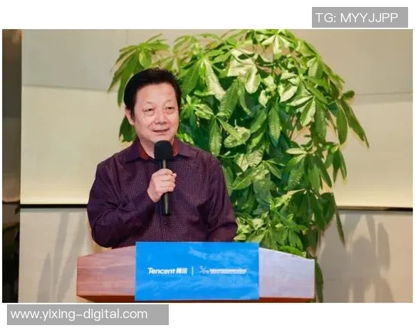 深度对话：探索吴芳在网球世界中的奋斗与成长之路