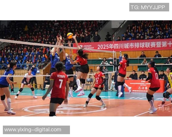 成都排球队总决赛逆袭之旅揭秘团结与拼搏的力量